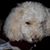 Sally Campbell Davis's profile image