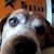 William Bussell's profile image