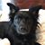 Laura Workman's profile image