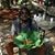 Jenifer Gounden's profile image