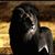 Danny LeNoir's profile image