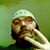 Rich Way's profile image