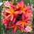 Peggy Walters Jenkins's profile image