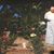 Sherry Brier Crawford's profile image