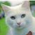 Kathy Hebert's profile image