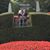 Denice M. Thompson's profile image