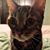 Kelly Florio's profile image