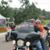 Dennis M Hoover's profile image