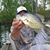 Chet Breed's profile image