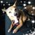 Lisa M Bond's profile image