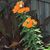 Terry Campbell's profile image