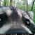 Kent Kesler's profile image