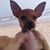 Jesus Miguel Sanchez Huerta's profile image