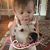 Cindy Fancher Melnichuk's profile image