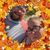 Sandra Adams's profile image