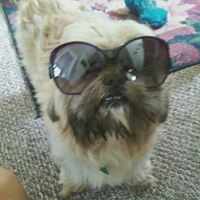 Eric Froncek's profile image