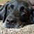 Deb Carr Powers's profile image