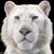 Karen Bradley's profile image