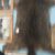Shan Tale's profile image