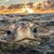 Diana Drew Kilbourn's profile image