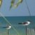 Jan Sindall Fischer's profile image