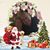 Barbara Brodie Keiser's profile image