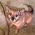 Patti Mousseau's profile image