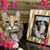 Laura Favaro's profile image