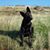 Art Buller's profile image