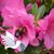 Joy James's profile image