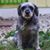 Robyn Klein Daniel's profile image