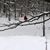 Lorri McKinney Bowles's profile image