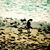 Nanci M Walker's profile image