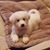 Tammy R Cox's profile image