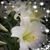 Wendy Dhein's profile image