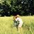 Lynn Symonette's profile image