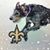 Risha Cupit-Berzins's profile image
