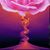 Molly Johnson's profile image