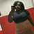 Aaliyah Sanford's profile image