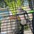 Roxanne Aceves's profile image