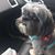 Tali Pariser's profile image
