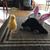 Patricia Hartin Johnson's profile image