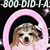 Karmina Rivas's profile image