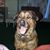 Sophia Cienfuegos's profile image