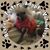 Apryle Smith's profile image