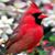Carol Matisinez's profile image