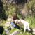 Carol Moon Francia's profile image