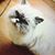 Ellen Wright Mims's profile image