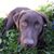 Kathleen Tracy's profile image