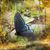 Pj Sorrel's profile image